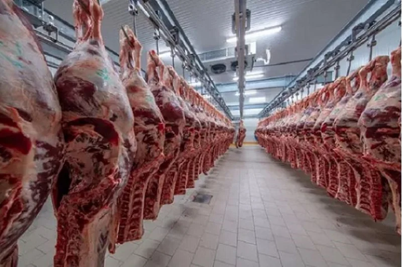 30 هزار تن گوشت منجمد گوساله برزیلی در راه ایران